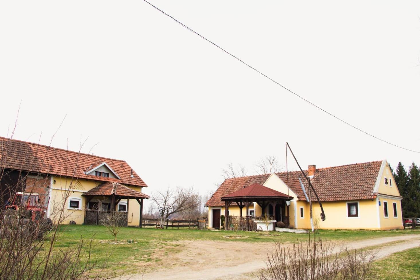 Country House Ivancan Molve Exterior foto