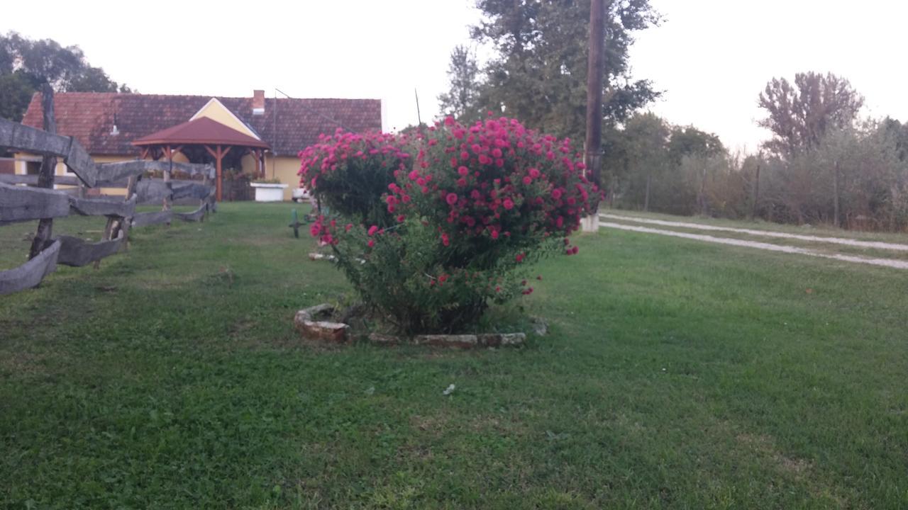Country House Ivancan Molve Exterior foto